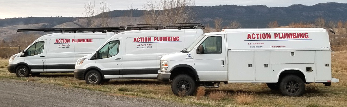 Action Plumbing Van and Trucks from 2019.